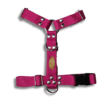 Kit Paseo Pretal + Correa + Collar + Porta Bolsita