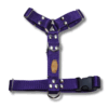 Kit Paseo Pretal + Correa + Collar + Porta Bolsita