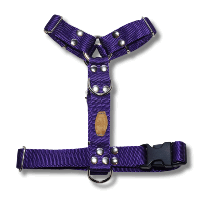 Kit Paseo Pretal + Correa + Collar + Porta Bolsita