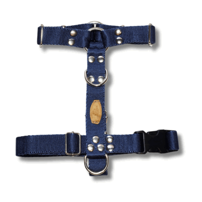 Kit Paseo Pretal + Correa + Collar + Porta Bolsita