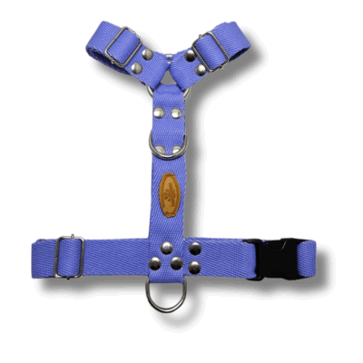Kit Paseo Pretal + Correa + Collar + Porta Bolsita