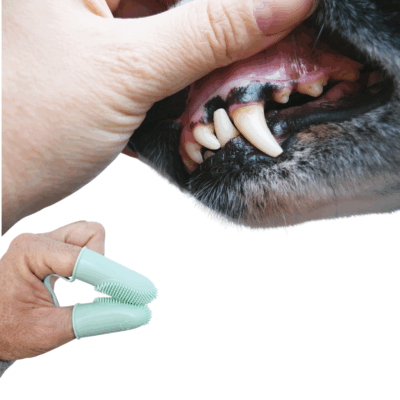 Cepillo de Dientes de Silicona para Mascotas – Estilo Dedal