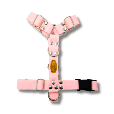 Kit Paseo Pretal + Correa + Collar + Porta Bolsita