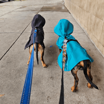 Piloto / Capa de Lluvia Con Abrigo