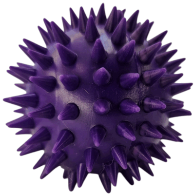 Pelota Erizo con Chifle 6 cm