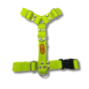 Kit Paseo Pretal + Correa + Collar + Porta Bolsita