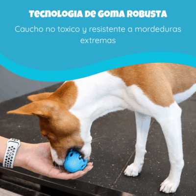 Pelota de Rugby perforada Con sonido y Rellenable