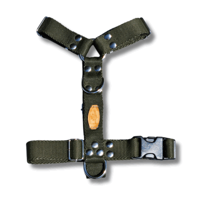 Kit Paseo Pretal + Correa + Collar + Porta Bolsita