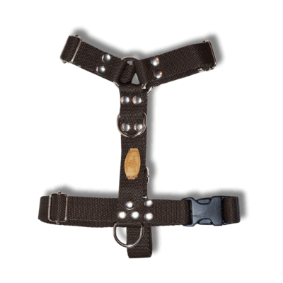 Kit Paseo Pretal + Correa + Collar + Porta Bolsita