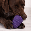 Juguete Rellenable Glotoni Soft L