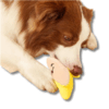Peluche Banana con chifle