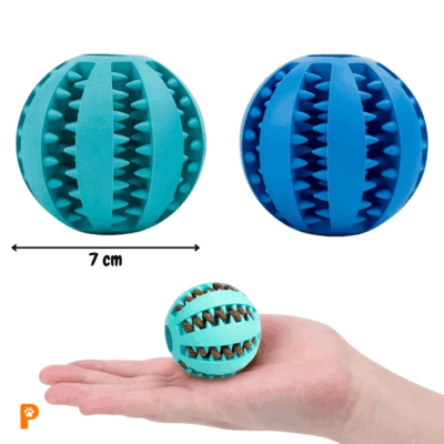 Pelota Dispensadora Aliento Dentada ABS
