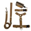 Kit Paseo Pretal + Correa + Collar + Porta Bolsita