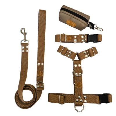 Kit Paseo Pretal + Correa + Collar + Porta Bolsita