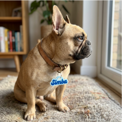 Chapita Placa Identificatoria Bitonos