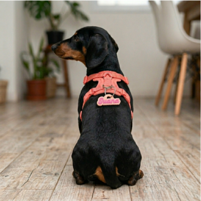 Chapita Placa Identificatoria Bitonos